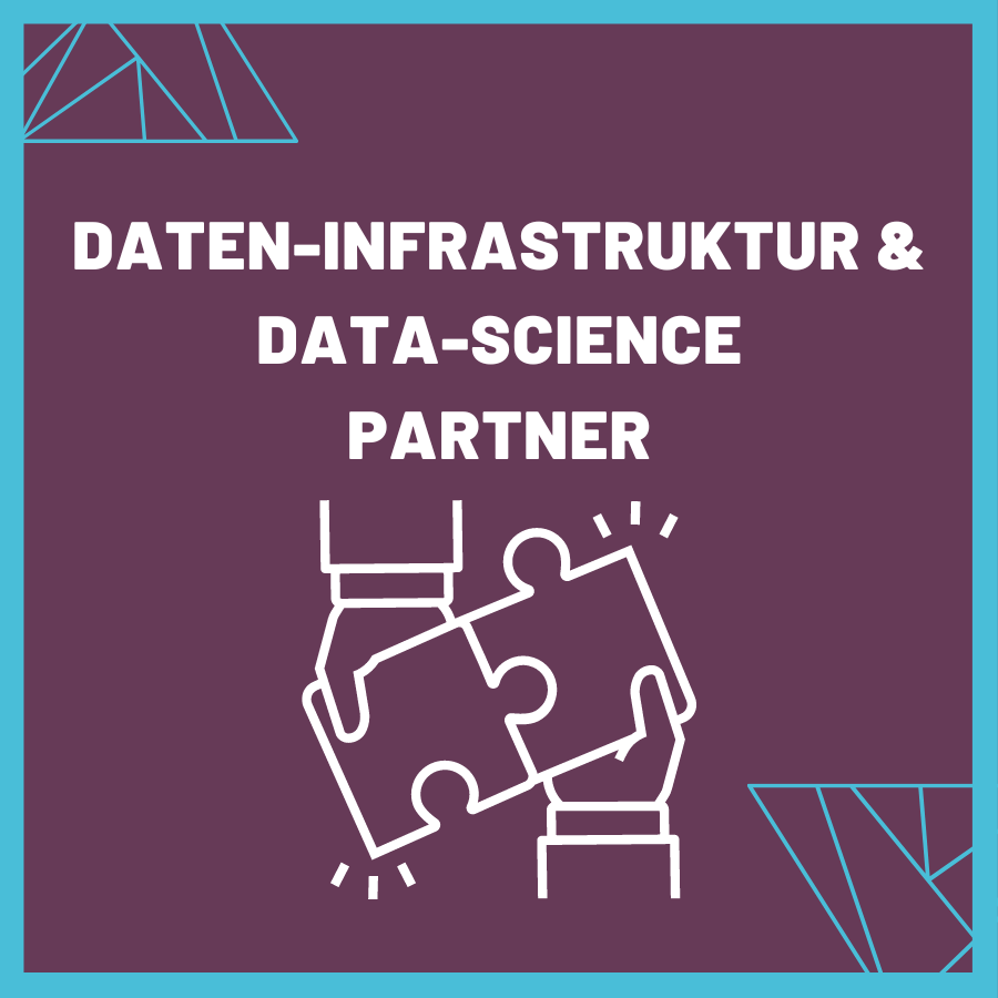 data science and ai and infrastructure partner.png